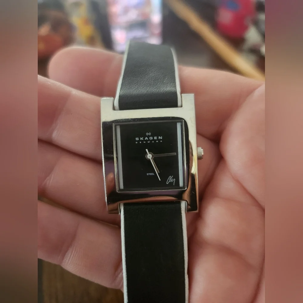 Skagen denmark watch